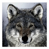 Wolf Eyes Perfect Poster (Voorkant)