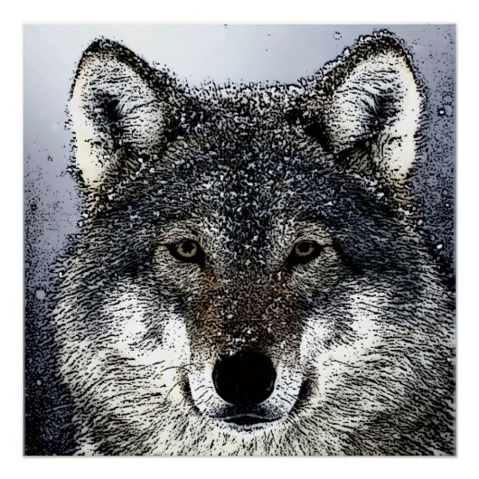 Wolf Eyes Perfect Poster (Voorkant)