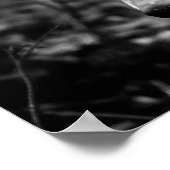 Wolf Eyes Poster (Hoek)