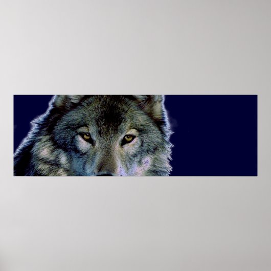 Wolf Eyes Poster (Voorkant)