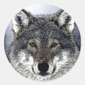 Wolf Eyes Ronde Sticker (Voorkant)