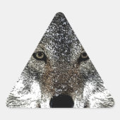 Wolf Eyes Sticker (Voorkant)