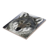 Wolf Eyes Tegeltje (Zijkant)
