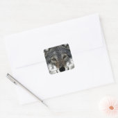 Wolf Eyes Vierkante Sticker (Envelop)