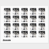 Wolf Eyes Vierkante Sticker (Vel)