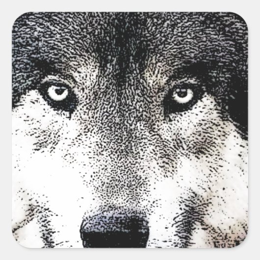 Wolf Eyes Vierkante Sticker (Voorkant)