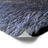 WOLF EYES Wildlife Art Poster (Hoek)