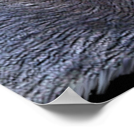 WOLF EYES Wildlife Art Poster (Hoek)