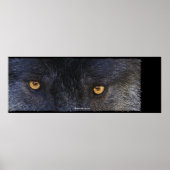 WOLF EYES Wildlife Art Poster (Voorkant)