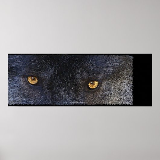 WOLF EYES Wildlife Art Poster (Voorkant)