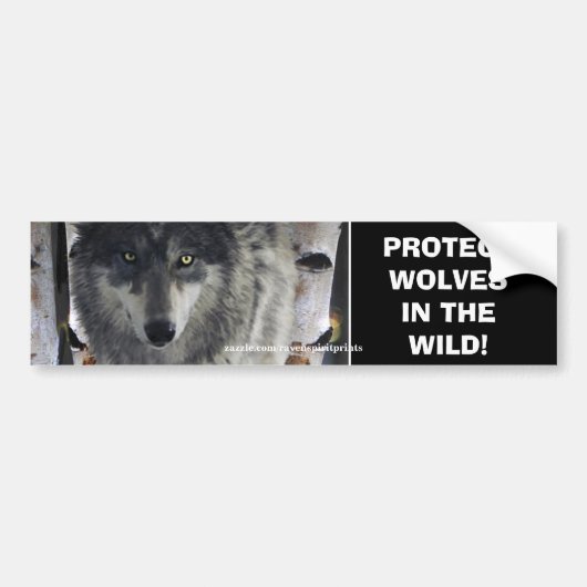 WOLF EYES Wildlife Conservation Bumpersticker (Voorkant)