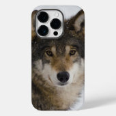 Wolf Face iPhone/iPad case (Achterkant)