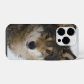 Wolf Face iPhone/iPad case iPhone Hoesje (Achterkant horizontaal)