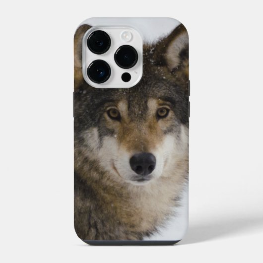Wolf Face iPhone/iPad case iPhone Hoesje (Achterkant)