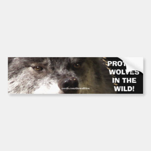 WOLF FACE Wildlife Conservation Bumpersticker