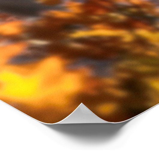 Wolf FAMILY AUTUMN Poster (Hoek)