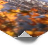 Wolf FAMILY AUTUMN Poster (Hoek)