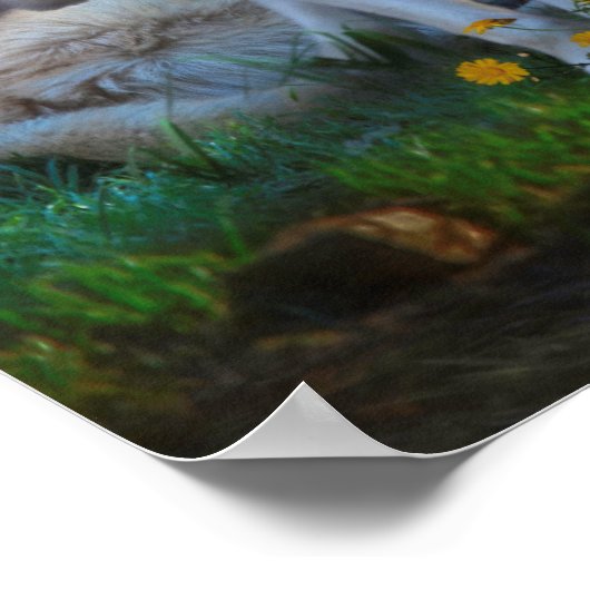 Wolf Family BETTER WERELD Poster (Hoek)