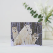 Wolf Family Briefkaart (Staand voorkant)