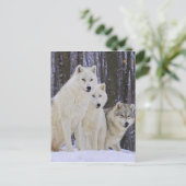 Wolf Family Briefkaart (Staand voorkant)