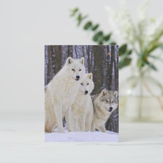 Wolf Family Briefkaart (Staand voorkant)