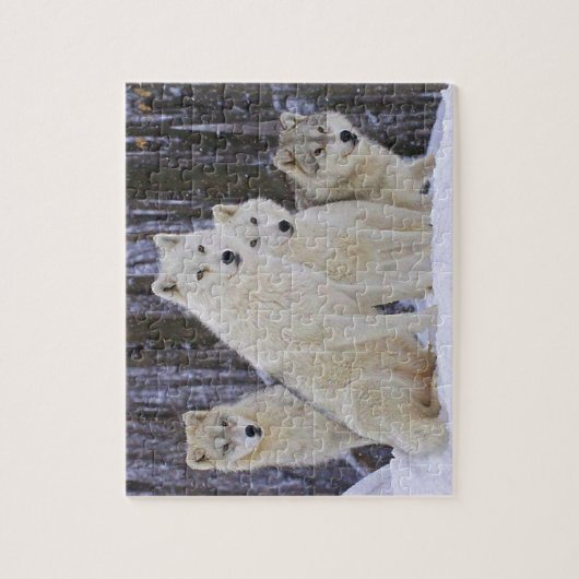 Wolf Family Legpuzzel (Verticaal)