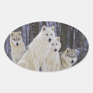 Wolf Family Ovale Sticker