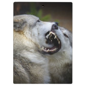 Wolf Fight Klembord (Achterkant)