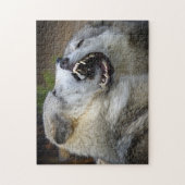 Wolf Fight Legpuzzel (Verticaal)