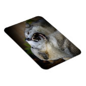 Wolf Fight Magneet (Rechterzijde)