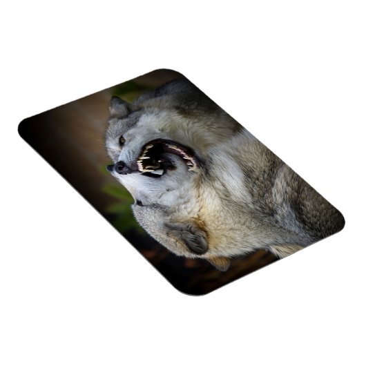 Wolf Fight Magneet (Rechterzijde)