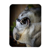 Wolf Fight Magneet (Verticaal)