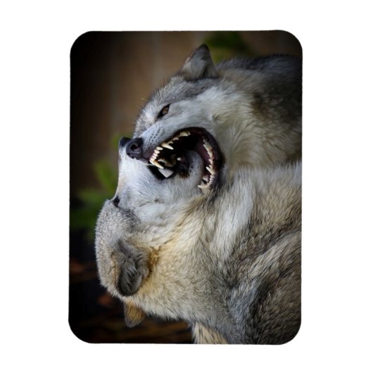 Wolf Fight Magneet (Verticaal)