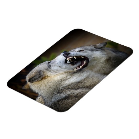 Wolf Fight Magneet (Linkerzijde)