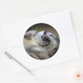 Wolf Fight Ronde Sticker (Envelop)