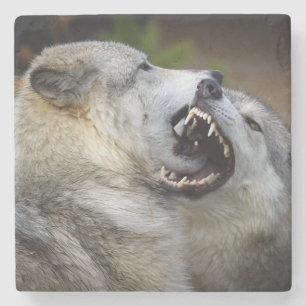 Wolf Fight Stenen Onderzetter