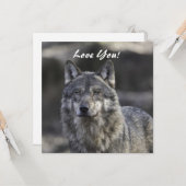 Wolf Flat Wenskaart Kaart (Voorkant / Achterkant in situ)