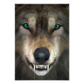 Wolf Foto Afdruk (Voorkant)