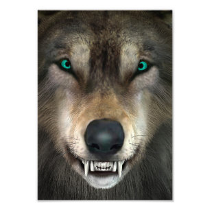 Wolf Foto Afdruk