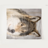 Wolf foto cute dier dierenwereld wandkleed (Voorkant (horizontaal))