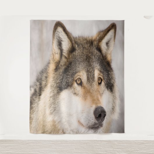 Wolf foto cute dier dierenwereld wandkleed (Voorkant)
