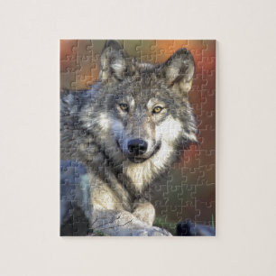Wolf Foto Legpuzzel