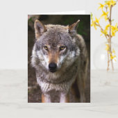 WOLF FOTOGRAFIE BIRTHDAY KAART (Gele Bloem)