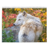 Wolf Fotografie Kalender (Hoes)