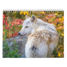 Wolf Fotografie Kalender