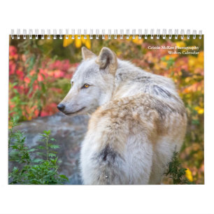 Wolf Fotografie Kalender