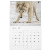 Wolf Fotografie Kalender (Feb 2027)