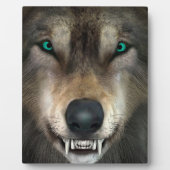 Wolf Fotoplaat (Voorkant)
