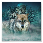 Wolf Full Moon in mist Foto Afdruk (Voorkant)