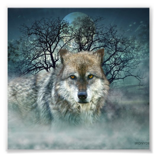 Wolf Full Moon in mist Foto Afdruk (Voorkant)